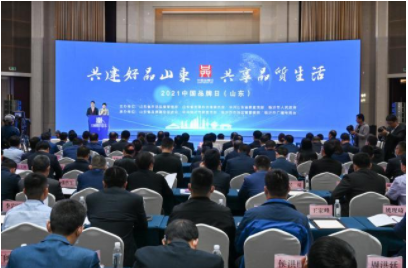 Selected into shandong province manufacturing high-end brand cultivation enterprises